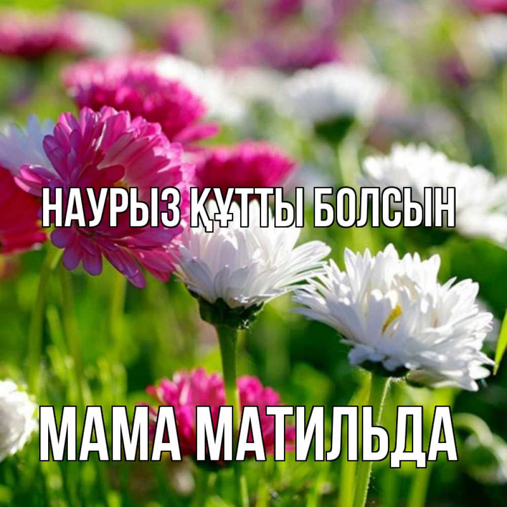 Открытка на каждый день с именем, Мама-Матильда Наурыз құтты болсын наурыз Прикольная открытка с пожеланием онлайн скачать бесплатно 