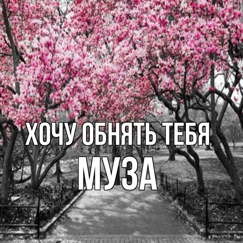 Открытка на каждый день с именем, Муза Хочу обнять тебя обработанное фото Прикольная открытка с пожеланием онлайн скачать бесплатно 