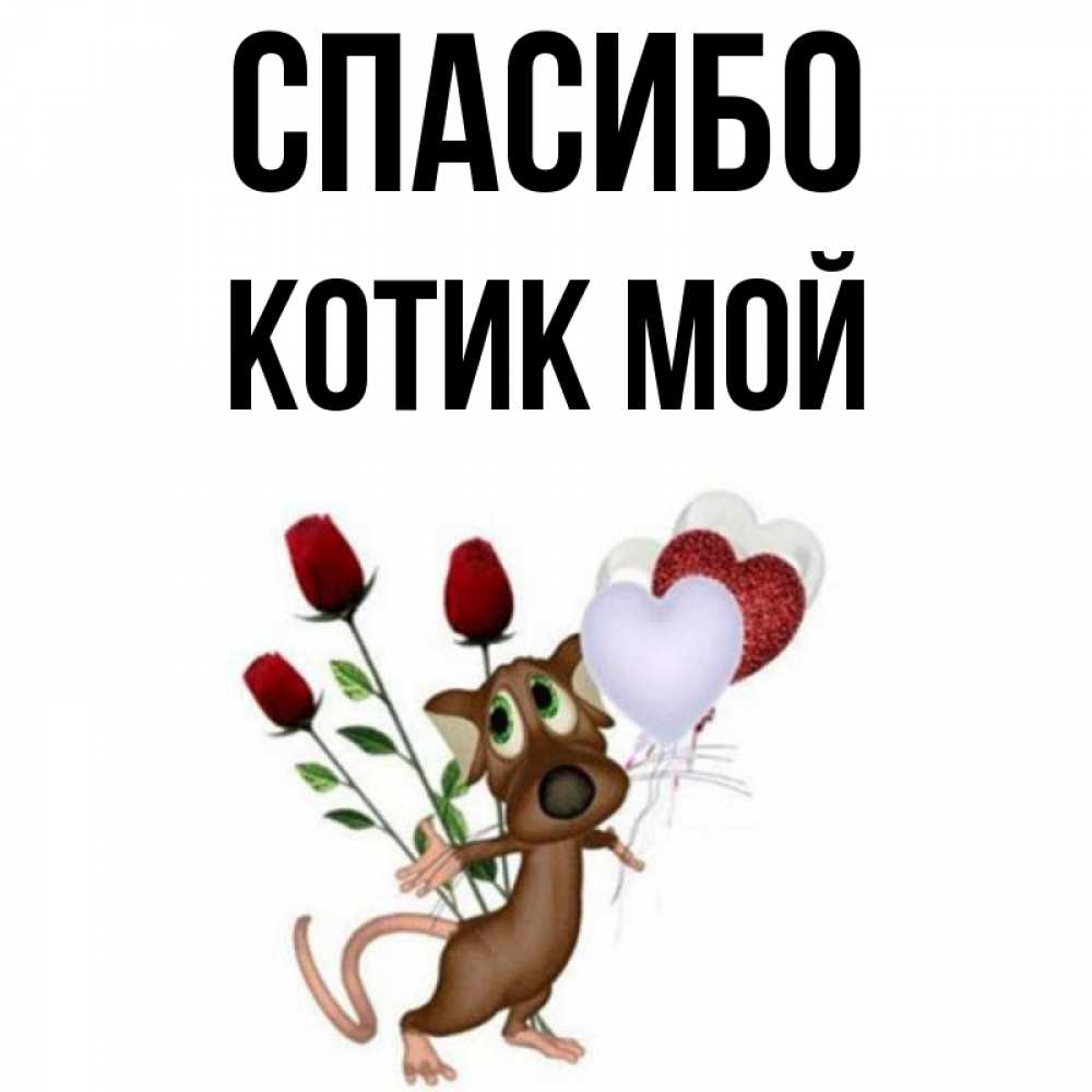 Картинка спасибо с котиком