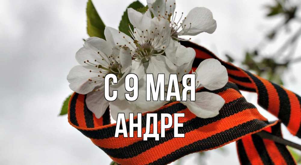 Открытка на каждый день с именем, Андре С 9 мая 9 мая Прикольная открытка с пожеланием онлайн скачать бесплатно 