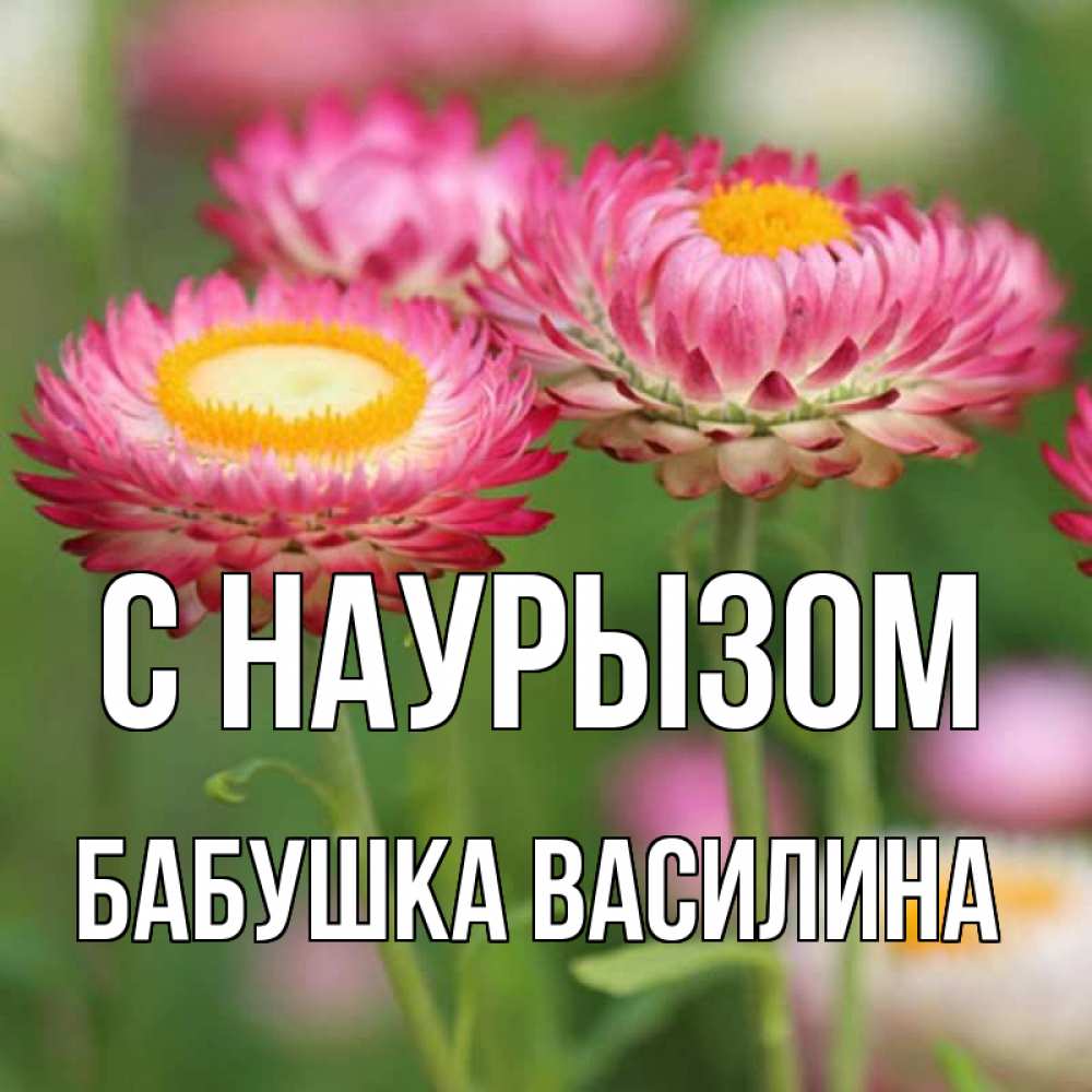 Открытка на каждый день с именем, Бабушка-Василина С наурызом подарок на международный женский день Прикольная открытка с пожеланием онлайн скачать бесплатно 