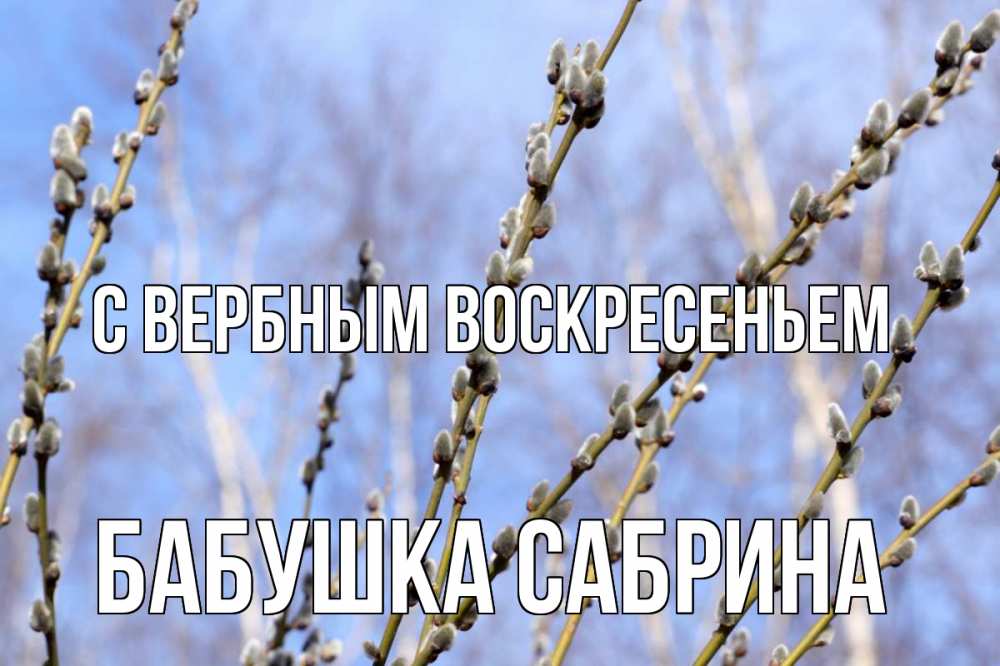 Открытка на каждый день с именем, Бабушка-Сабрина С вербным воскресеньем верба Прикольная открытка с пожеланием онлайн скачать бесплатно 