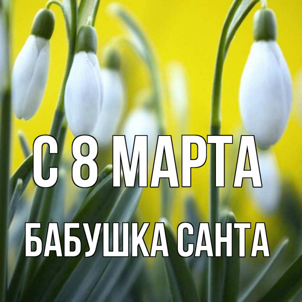 Открытка на каждый день с именем, Бабушка-Санта С 8 марта весенние цветы Прикольная открытка с пожеланием онлайн скачать бесплатно 