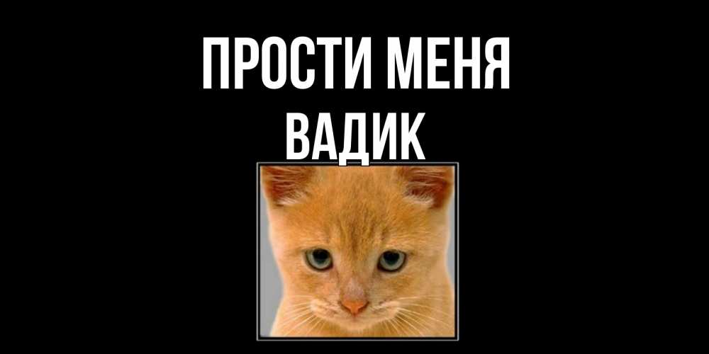 Открытка на каждый день с именем, Вадик Прости меня рыжий грустный кот просит прощения Прикольная открытка с пожеланием онлайн скачать бесплатно 