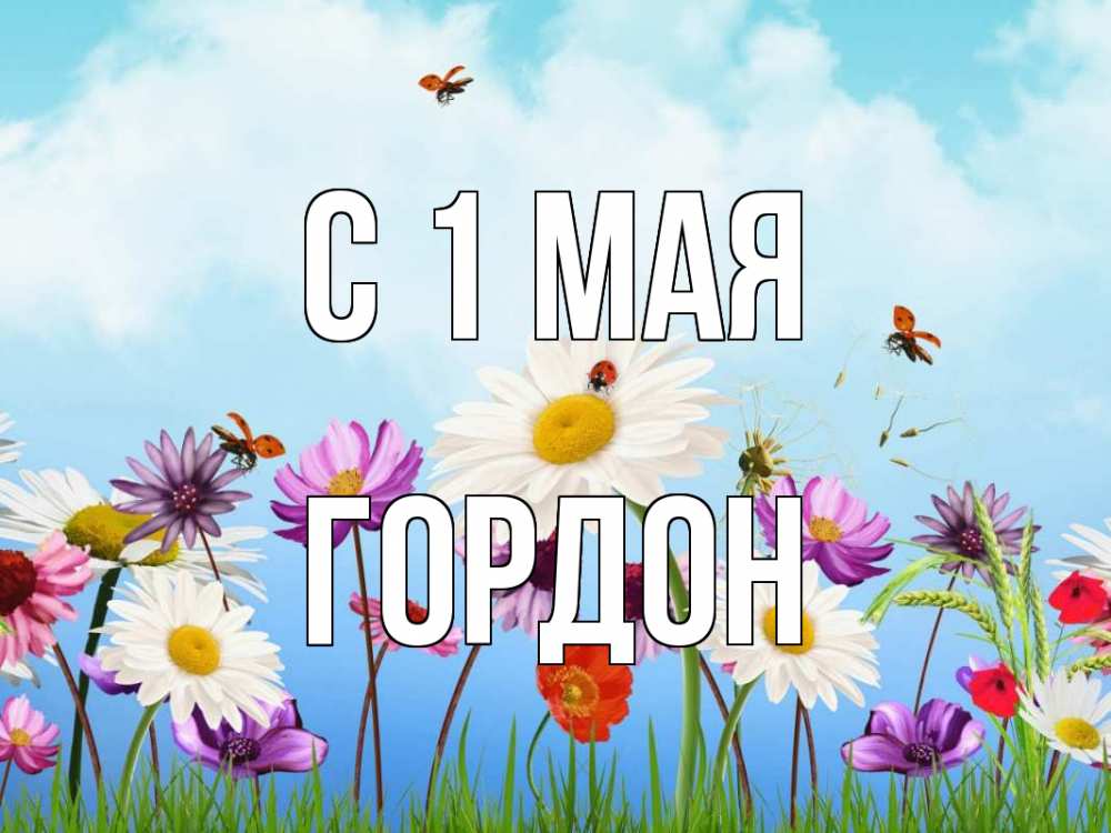 Открытка на каждый день с именем, Гордон С 1 мая С 1 мая Прикольная открытка с пожеланием онлайн скачать бесплатно 
