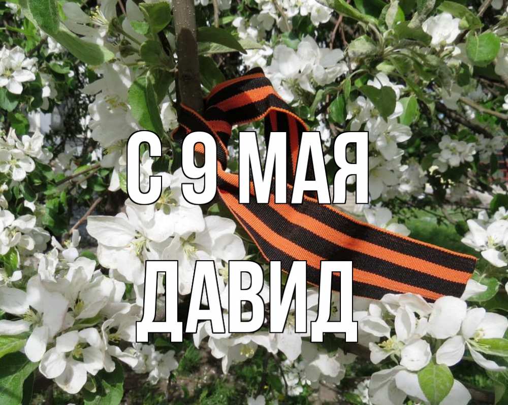 Открытка на каждый день с именем, Давид С 9 мая 9 мая Прикольная открытка с пожеланием онлайн скачать бесплатно 
