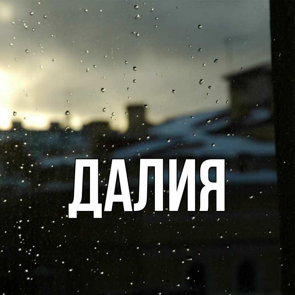 Открытка на каждый день с именем, Далия Главная вид на крыши Прикольная открытка с пожеланием онлайн скачать бесплатно 