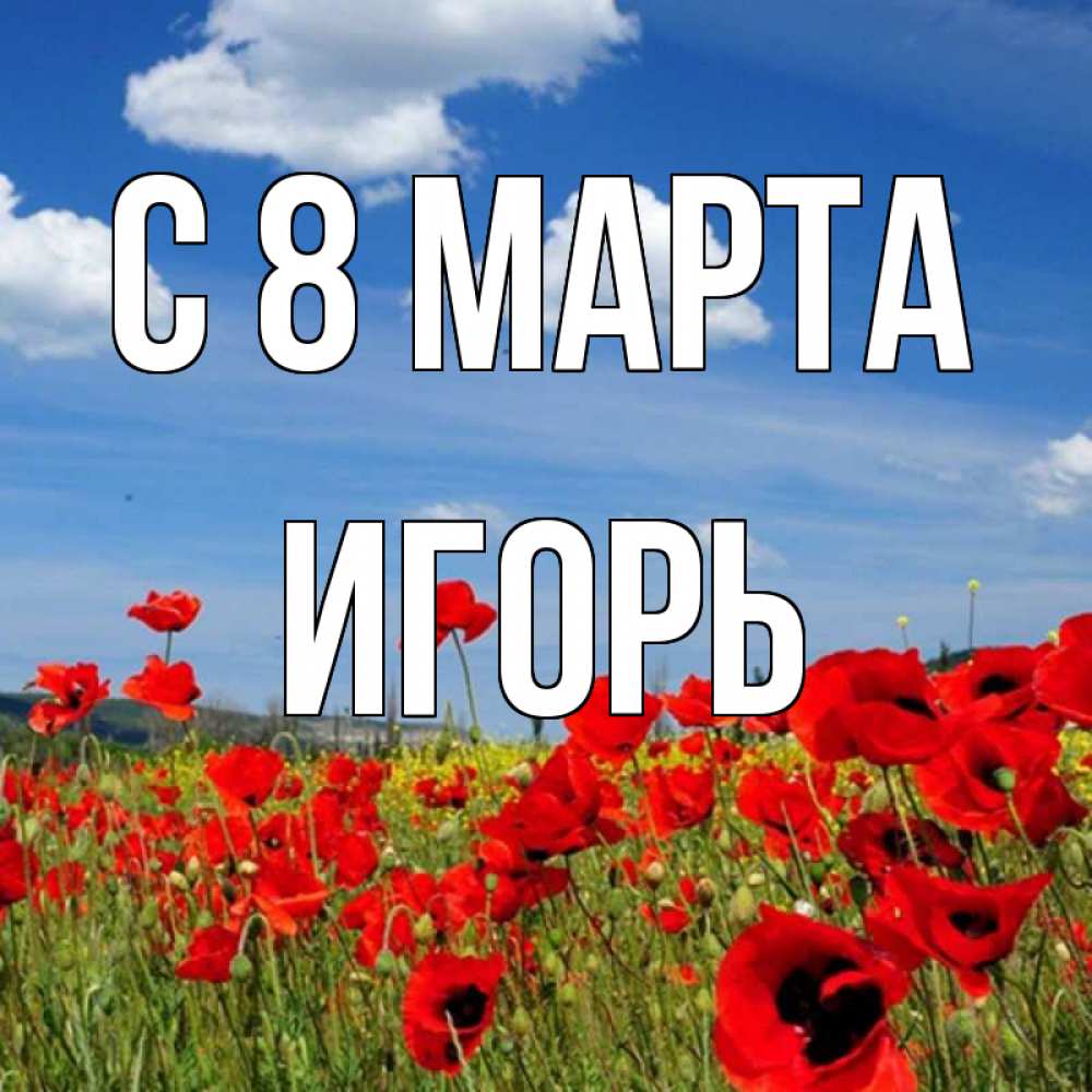 Открытка на каждый день с именем, Игорь С 8 МАРТА международный женский день 1 Прикольная открытка с пожеланием онлайн скачать бесплатно 