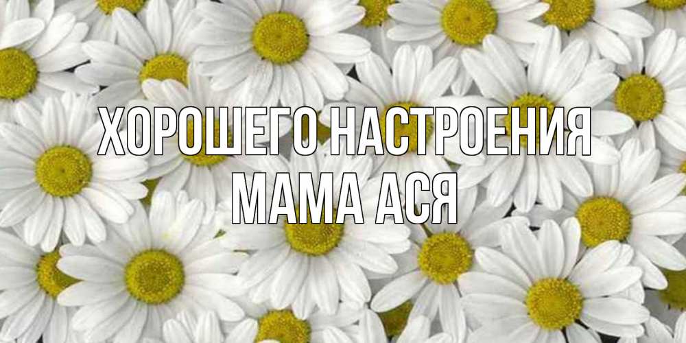 Открытка на каждый день с именем, Мама-Ася Хорошего настроения поляна ромашек Прикольная открытка с пожеланием онлайн скачать бесплатно 
