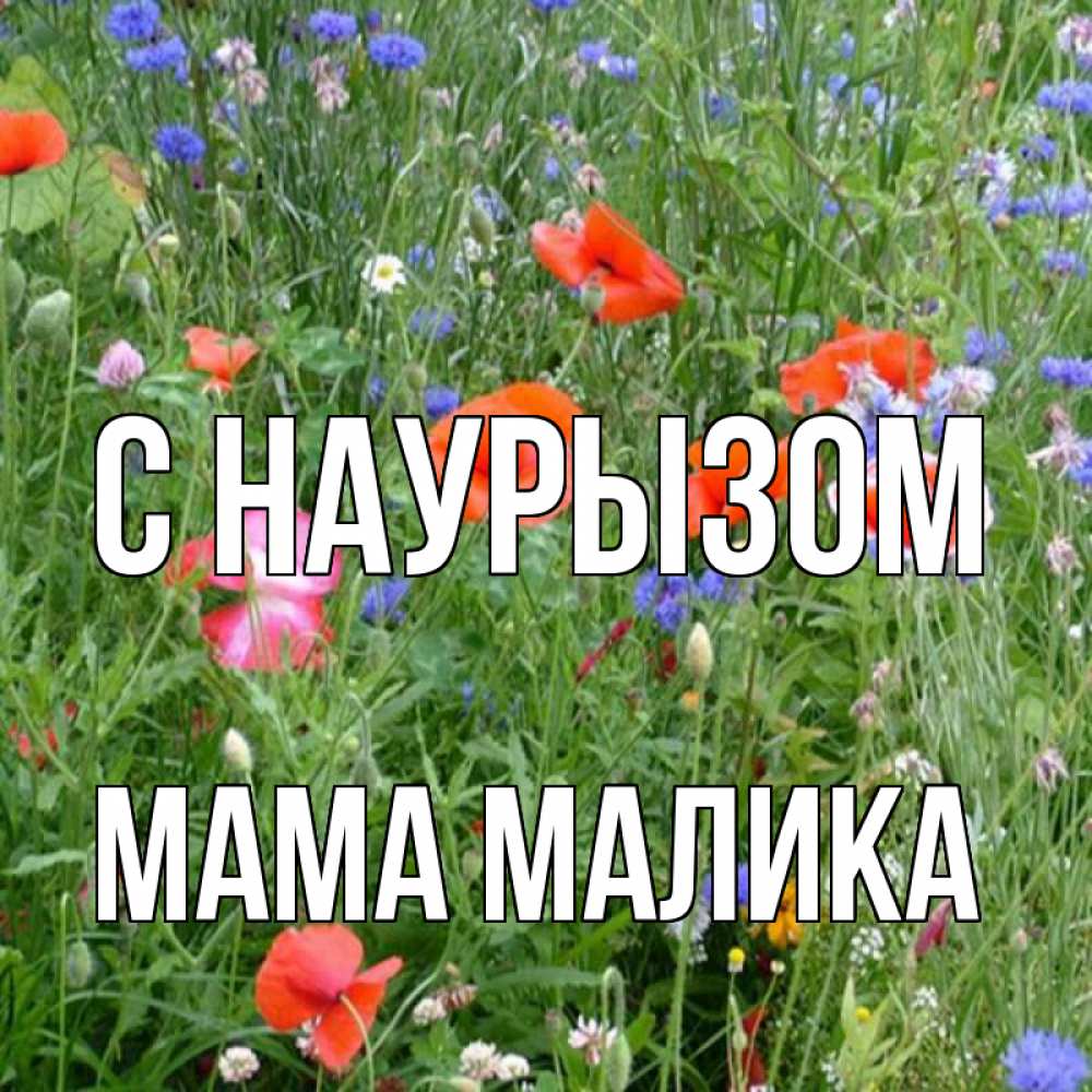 Открытка на каждый день с именем, Мама-Малика С наурызом праздник весны наурыз супер открытка Прикольная открытка с пожеланием онлайн скачать бесплатно 