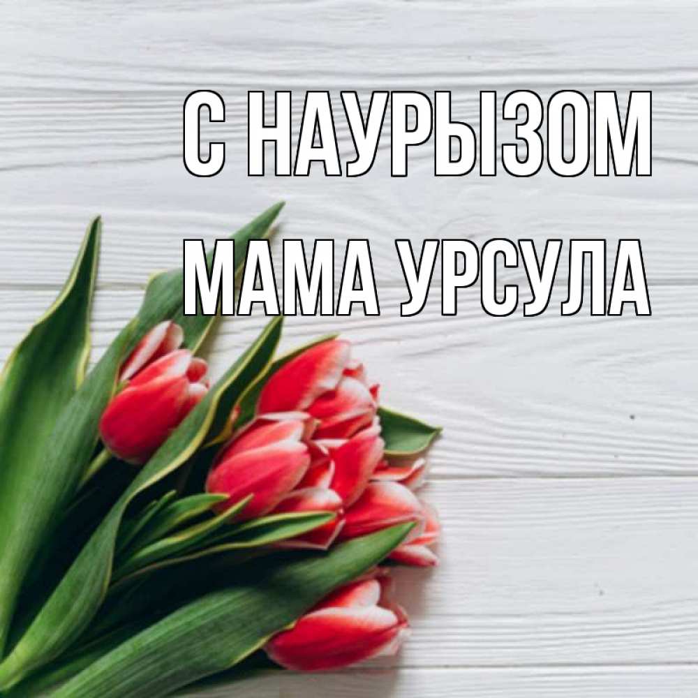 Открытка на каждый день с именем, Мама-Урсула С наурызом весна 2 Прикольная открытка с пожеланием онлайн скачать бесплатно 