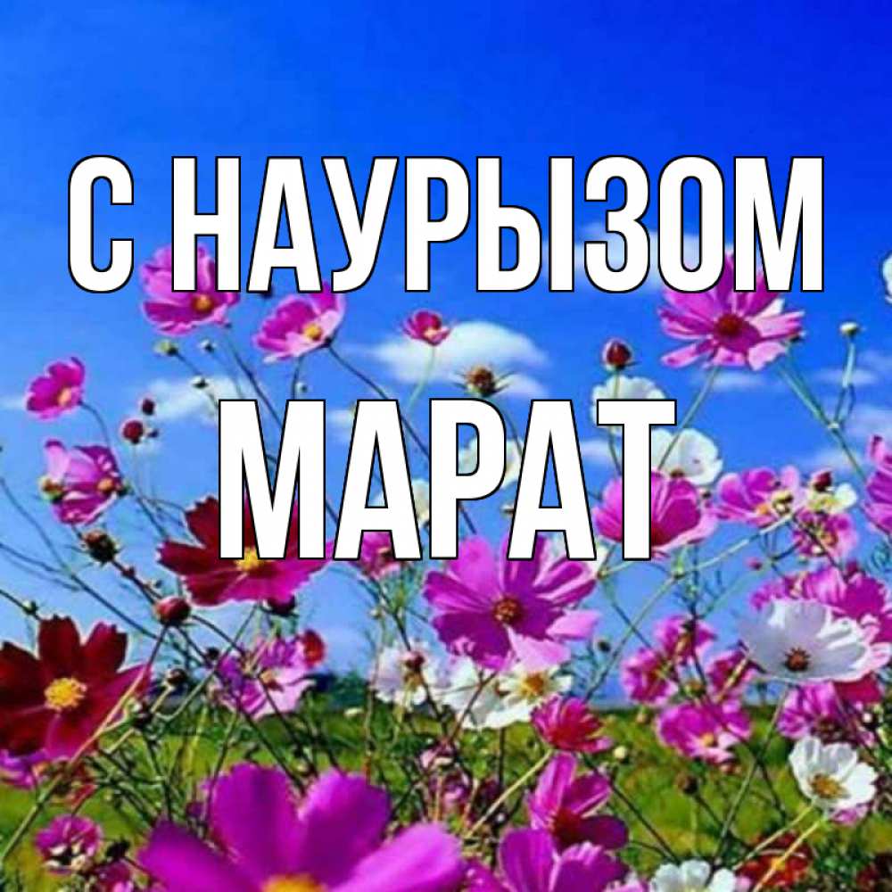 Открытка на каждый день с именем, Марат С наурызом цветы Прикольная открытка с пожеланием онлайн скачать бесплатно 
