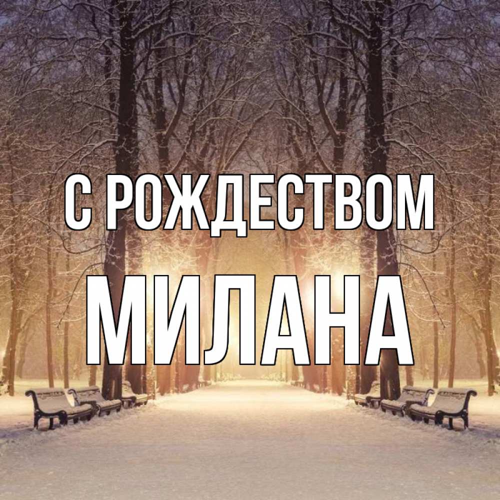 Открытка на каждый день с именем, Милана С рождеством зима, парк, фонарь, лес Прикольная открытка с пожеланием онлайн скачать бесплатно 