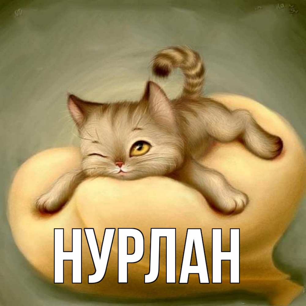Открытка на каждый день с именем, Нурлан Главная кошечка Прикольная открытка с пожеланием онлайн скачать бесплатно 