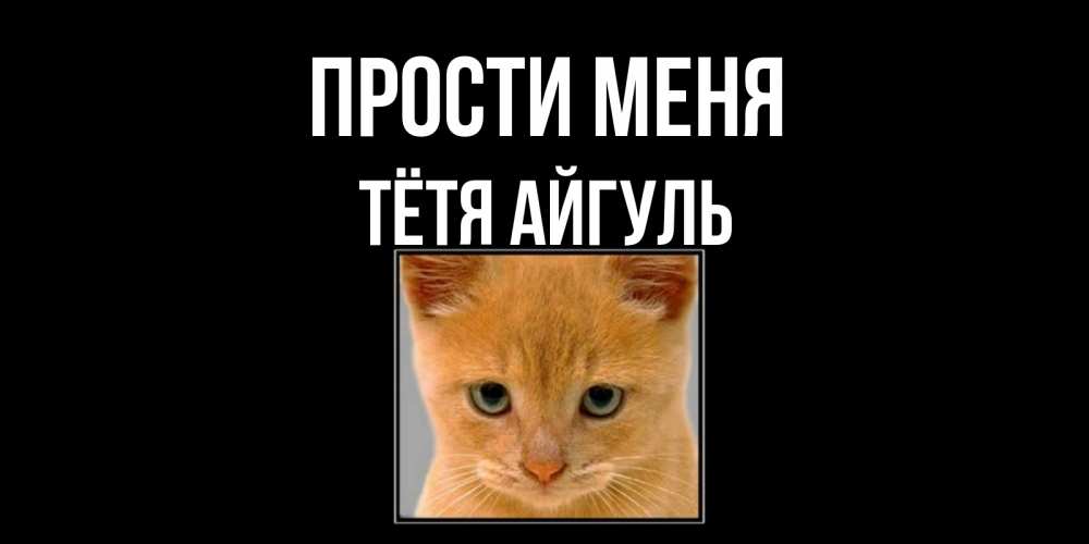 Открытка на каждый день с именем, Тётя-Айгуль Прости меня рыжий грустный кот просит прощения Прикольная открытка с пожеланием онлайн скачать бесплатно 