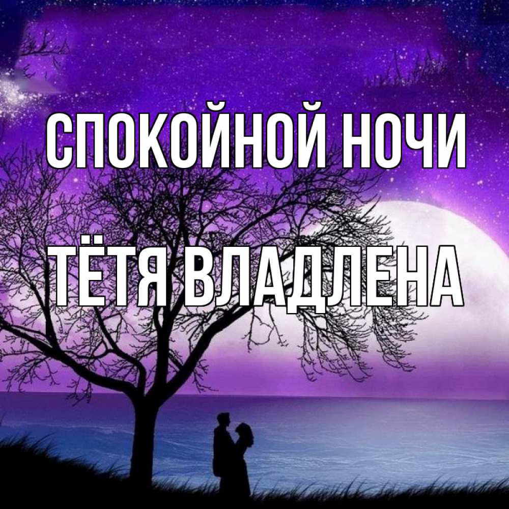 Открытка на каждый день с именем, Тётя-Владлена Спокойной ночи огромная луна и парочка Прикольная открытка с пожеланием онлайн скачать бесплатно 