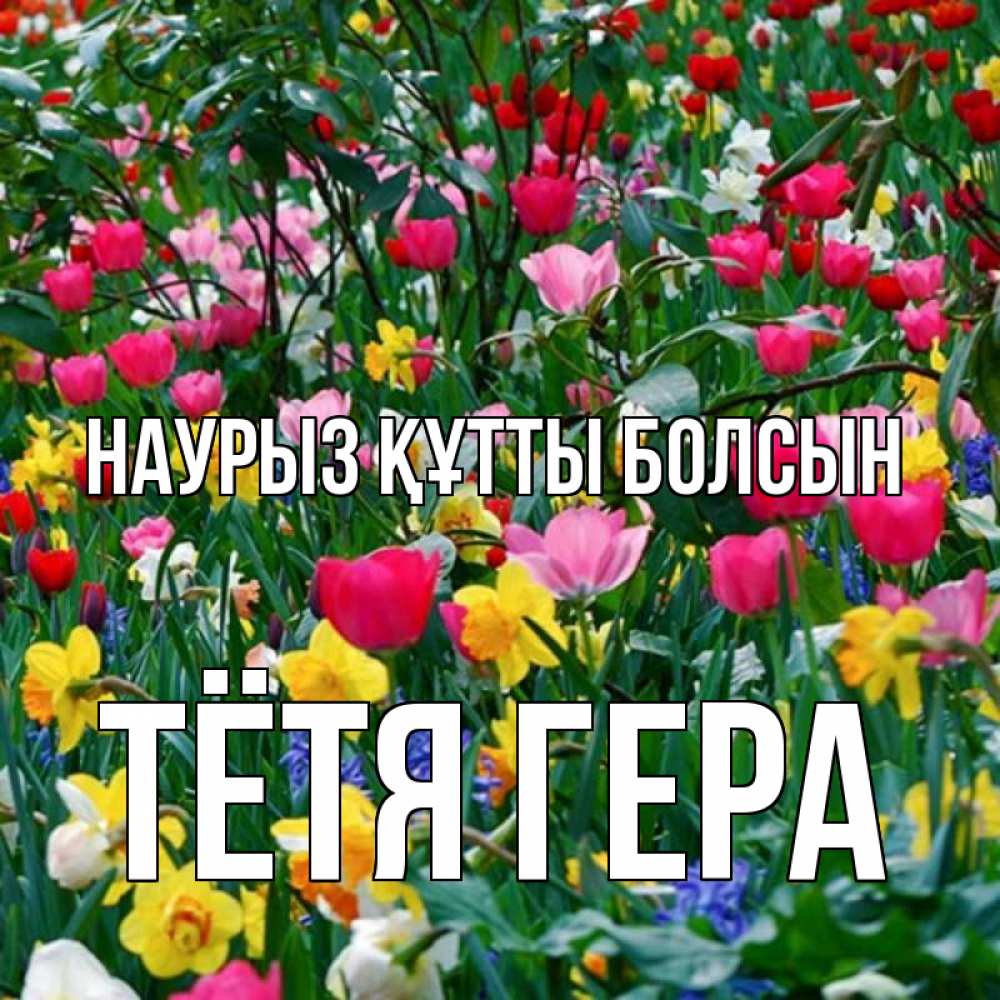 Открытка на каждый день с именем, Тётя-Гера Наурыз құтты болсын с наурызом поздравления для женщины Прикольная открытка с пожеланием онлайн скачать бесплатно 