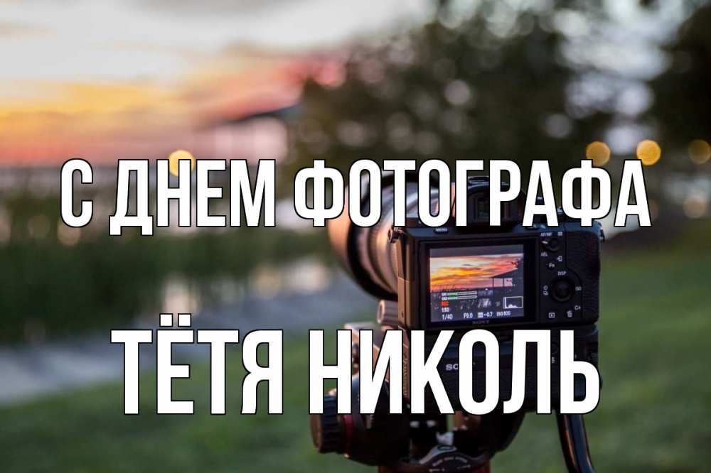 Открытка на каждый день с именем, Тётя-Николь С днем фотографа с днем фотографа Прикольная открытка с пожеланием онлайн скачать бесплатно 
