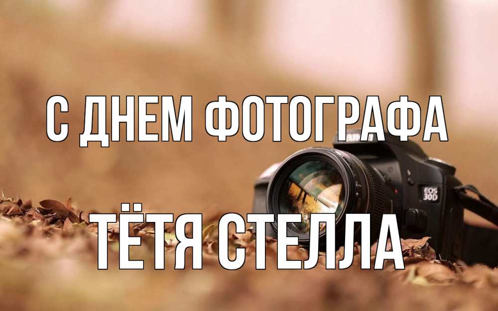 Открытка на каждый день с именем, Тётя-Стелла С днем фотографа с днем фотографа Прикольная открытка с пожеланием онлайн скачать бесплатно 