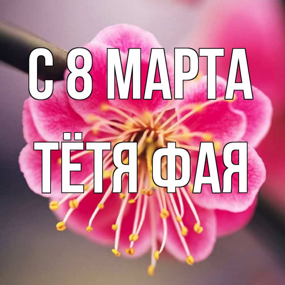 Открытка на каждый день с именем, Тётя-Фая С 8 марта цветы Прикольная открытка с пожеланием онлайн скачать бесплатно 