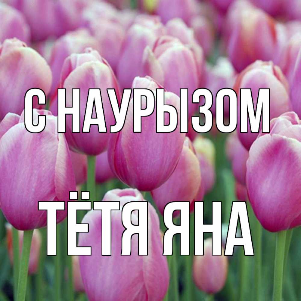 Открытка на каждый день с именем, Тётя-Яна С наурызом праздник весны наурыз 69 Прикольная открытка с пожеланием онлайн скачать бесплатно 