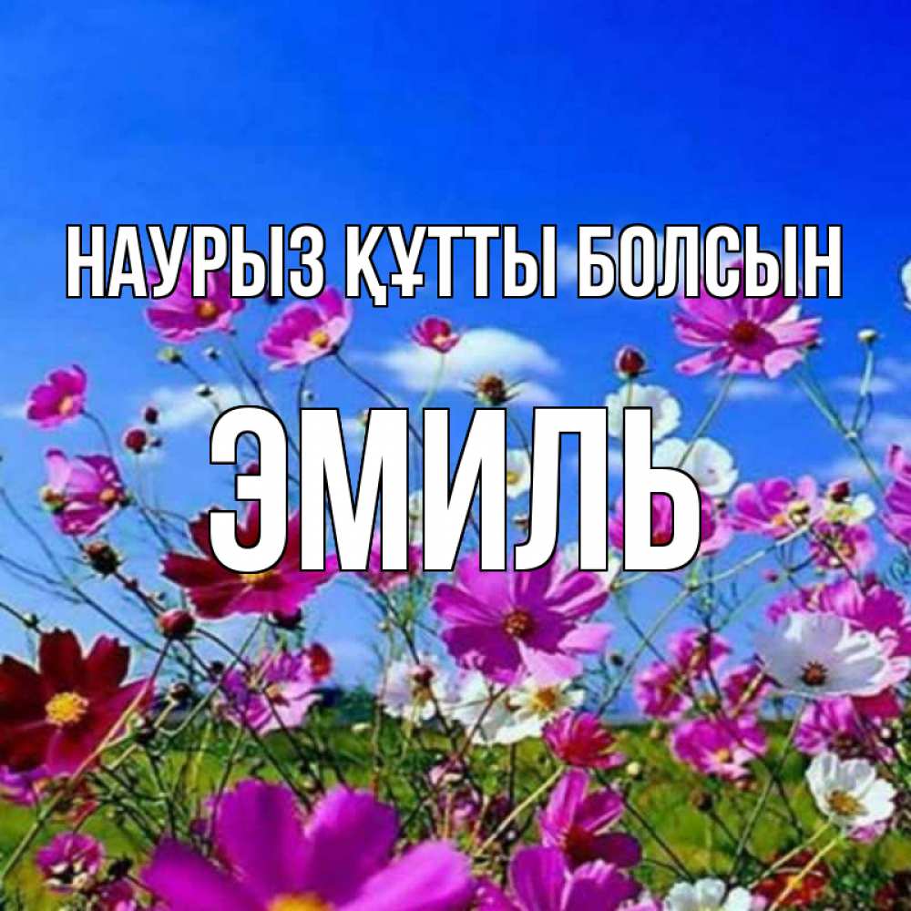 Открытка на каждый день с именем, Эмиль Наурыз құтты болсын цветы Прикольная открытка с пожеланием онлайн скачать бесплатно 