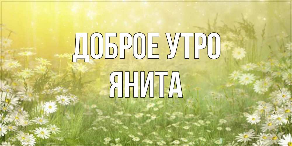 Открытка на каждый день с именем, Янита Доброе утро доброе утро Прикольная открытка с пожеланием онлайн скачать бесплатно 