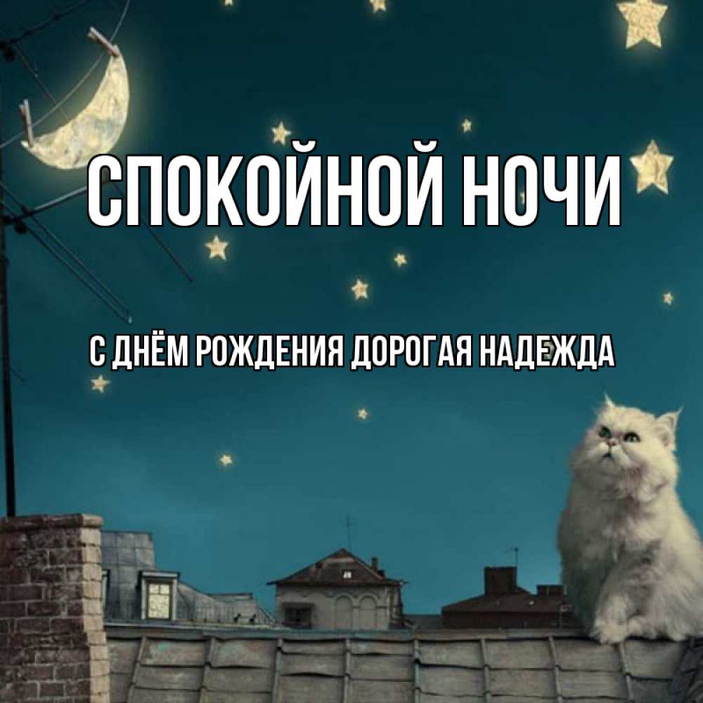 Открытка с именем, С Днём Рождения, дорогая Надежда! , Спокойной ночи