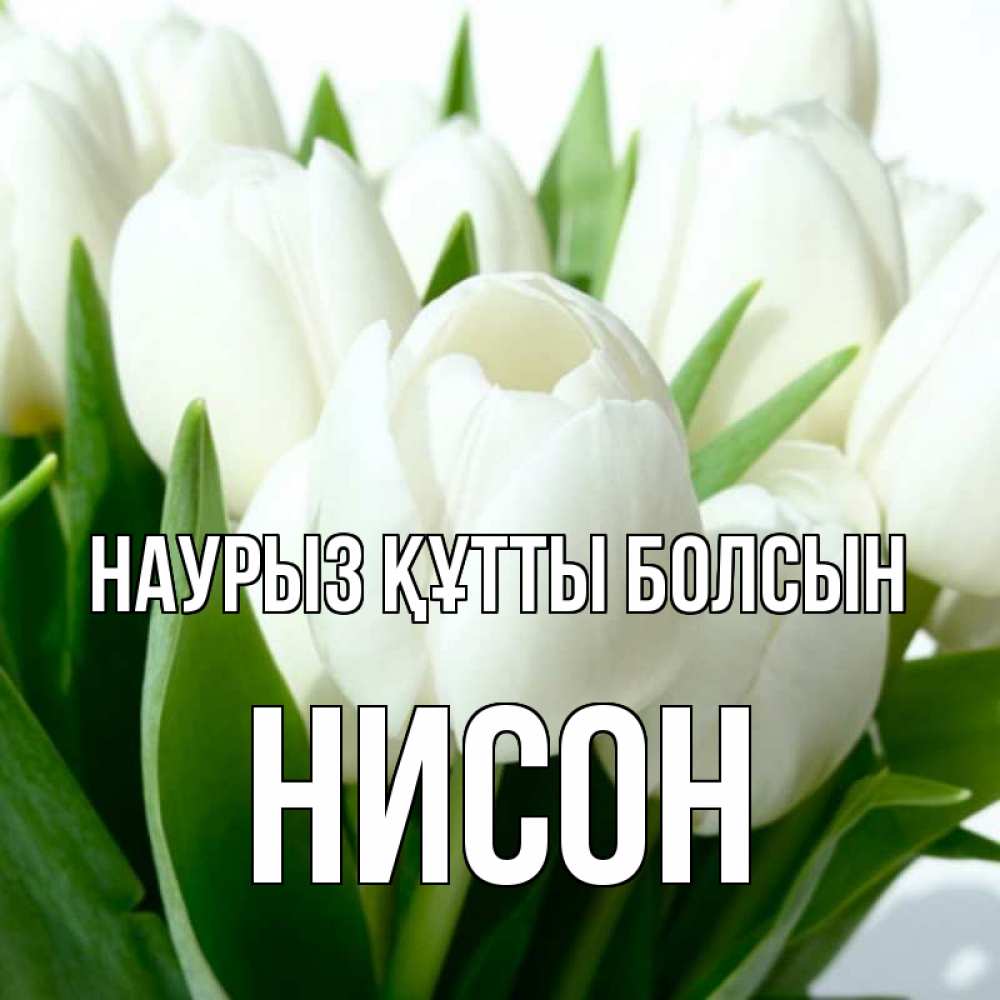 Открытка на каждый день с именем, Нисон Наурыз құтты болсын цветы Прикольная открытка с пожеланием онлайн скачать бесплатно 