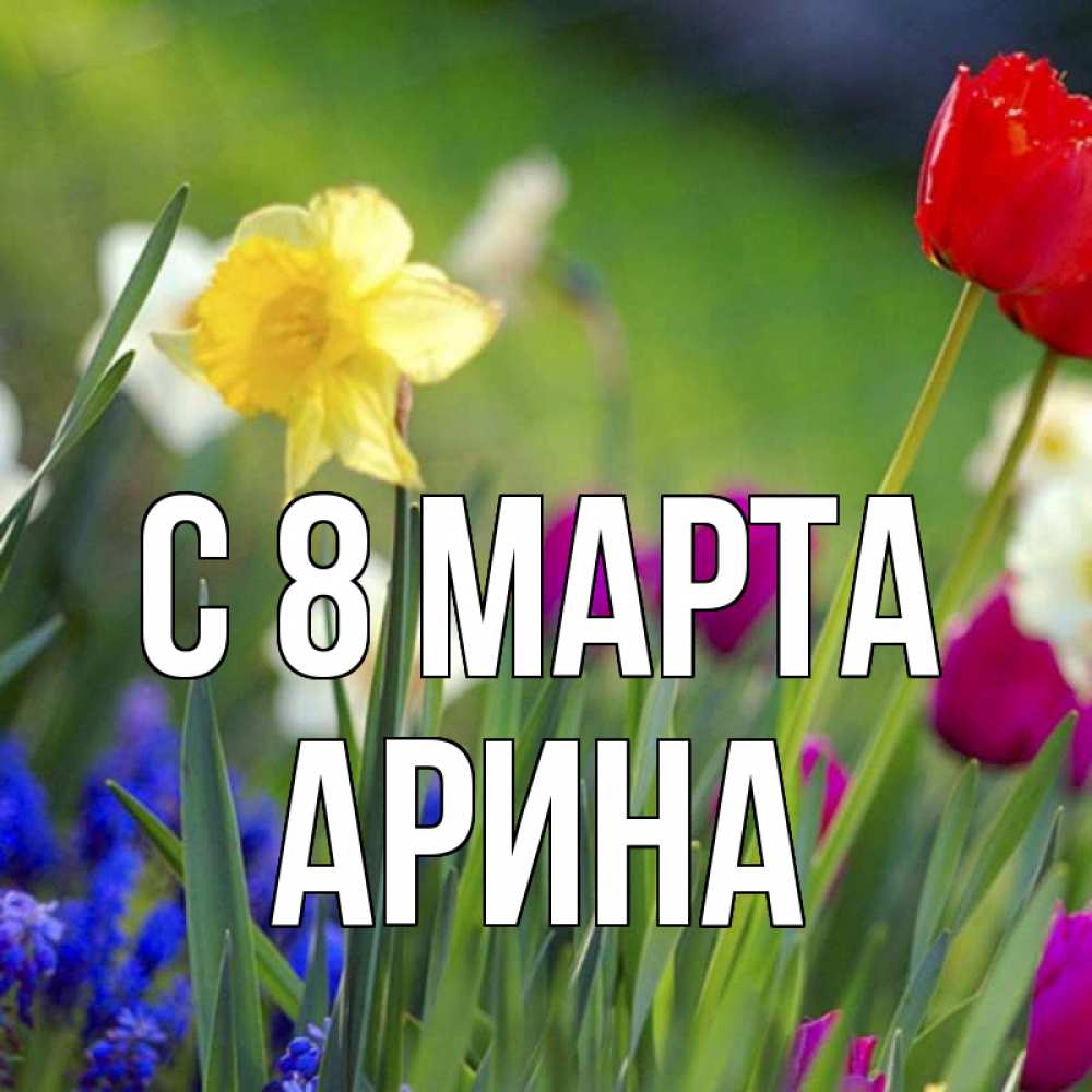 Открытка на каждый день с именем, Арина С 8 МАРТА международный женский день 3 Прикольная открытка с пожеланием онлайн скачать бесплатно 