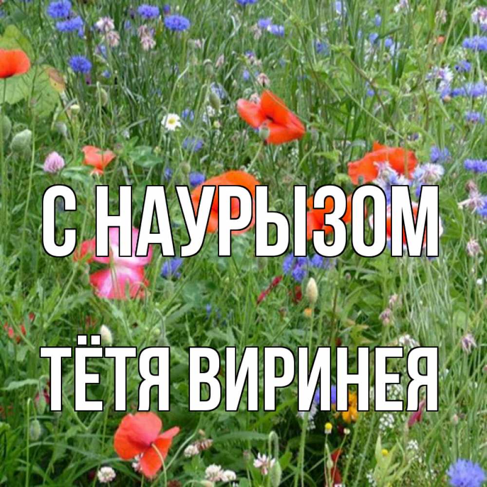 Открытка на каждый день с именем, Тётя-Виринея С наурызом праздник весны наурыз супер открытка Прикольная открытка с пожеланием онлайн скачать бесплатно 