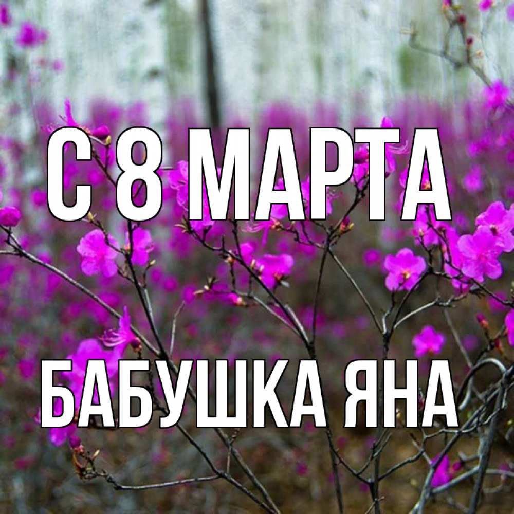 Картинка С 8 МАРТА, Бабушка Яна