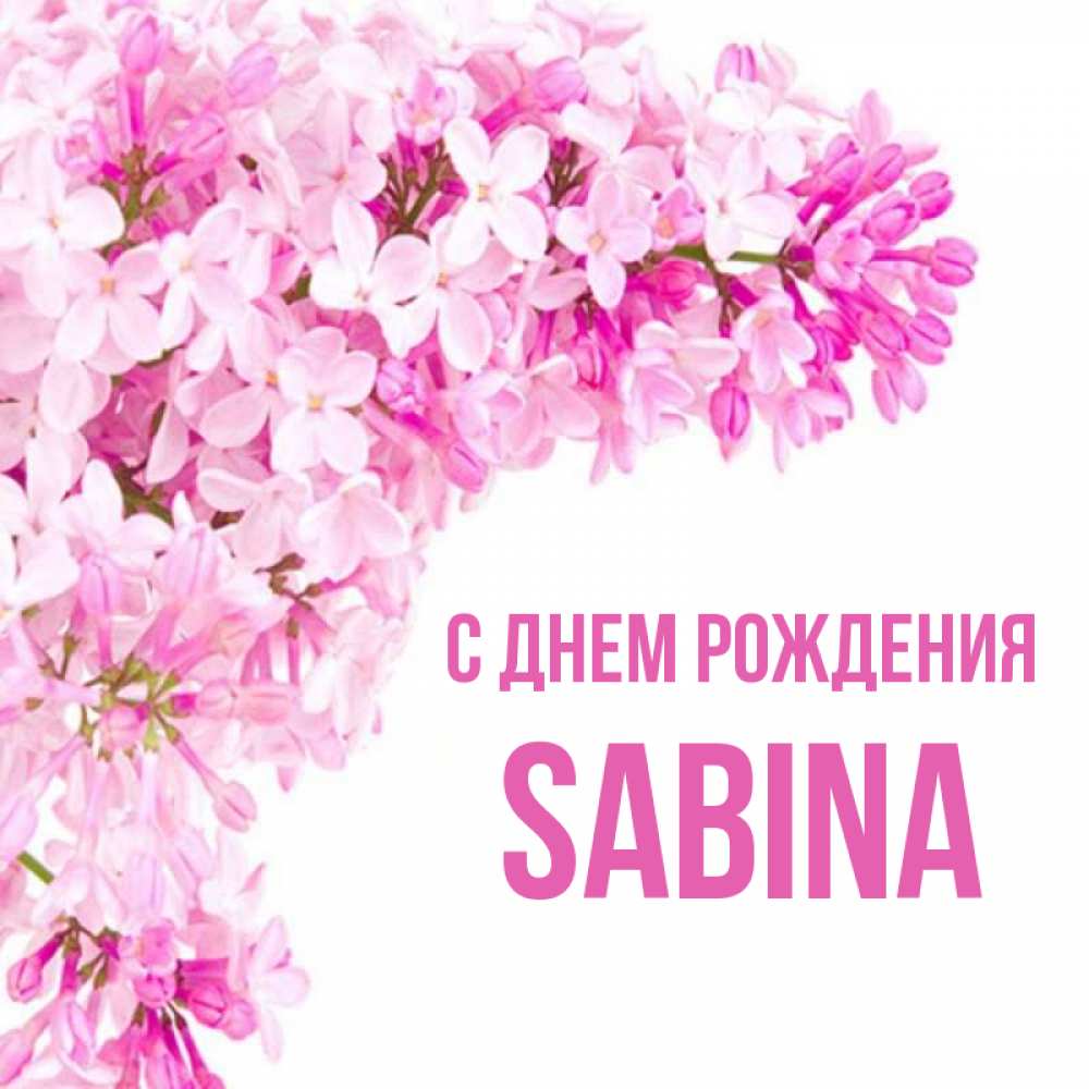дан обычный открытка с днем рождения сабина прикольные сумасшедшие