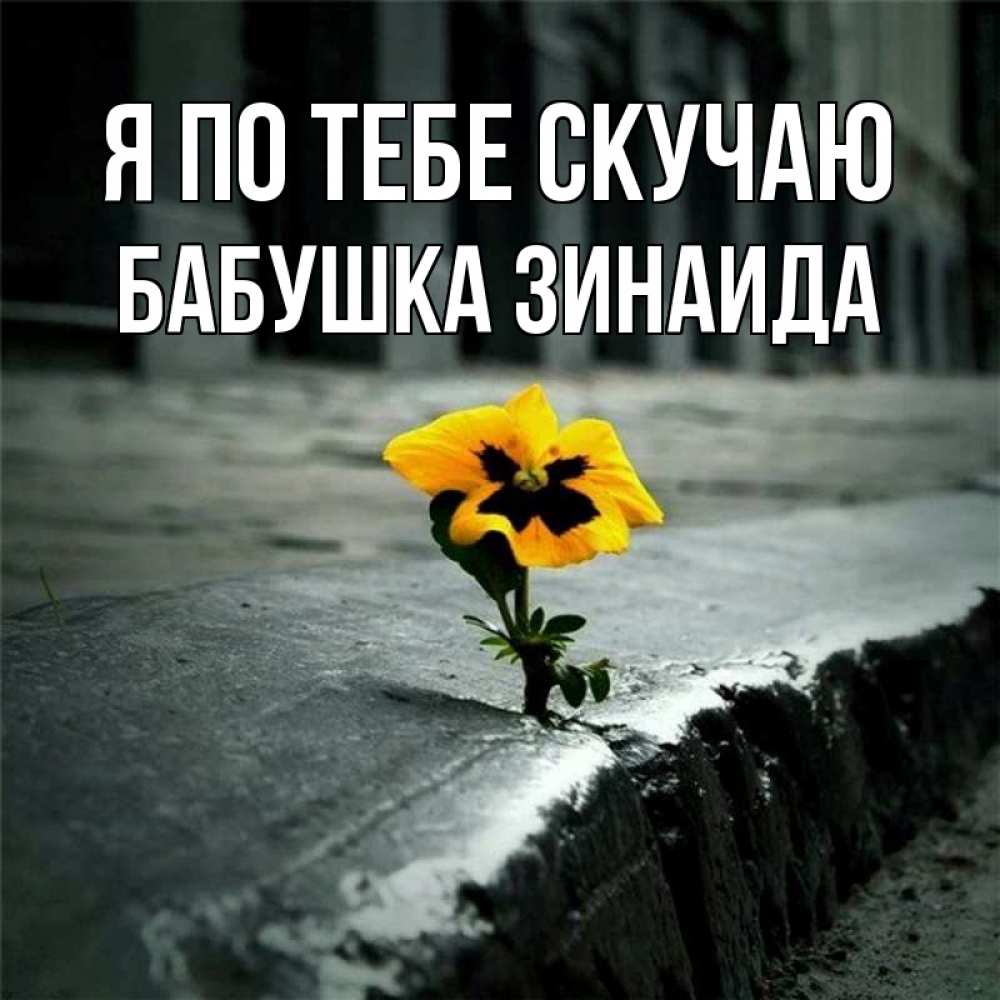 Открытка на каждый день с именем, Бабушка-Зинаида Я по тебе скучаю надеюсь будет лучше Прикольная открытка с пожеланием онлайн скачать бесплатно 