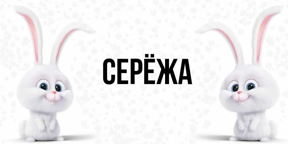 Открытка на каждый день с именем, Серёжа Главная кролики с длинными ушками Прикольная открытка с пожеланием онлайн скачать бесплатно 