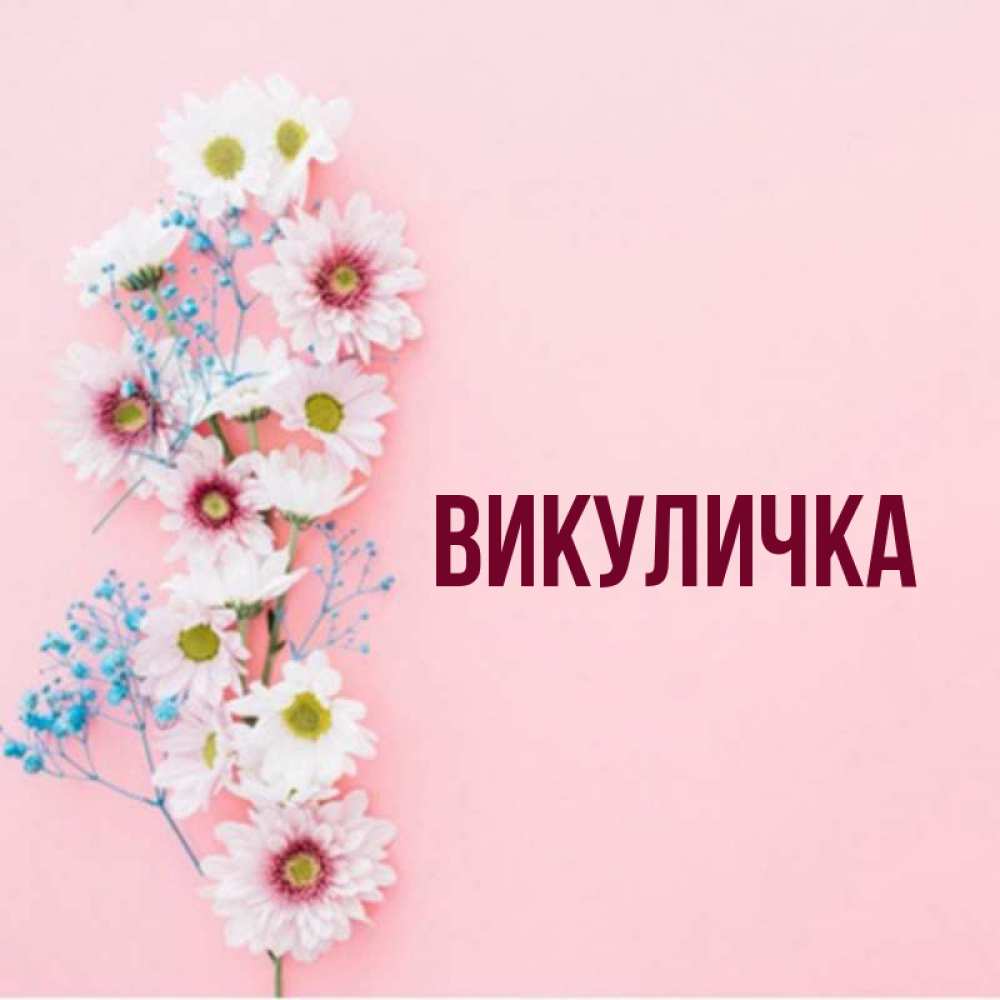 Викуличка с днем рождения картинки