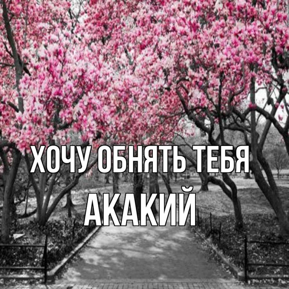 Открытка на каждый день с именем, Акакий Хочу обнять тебя обработанное фото Прикольная открытка с пожеланием онлайн скачать бесплатно 