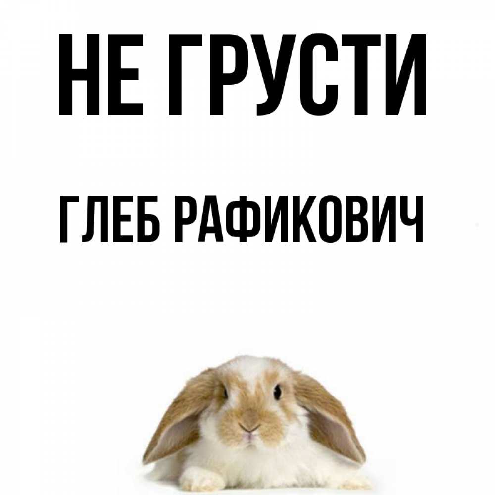 Не грусти зайка картинки