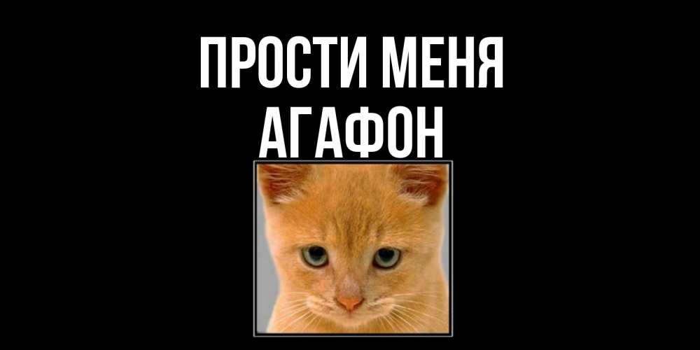 Открытка на каждый день с именем, Агафон Прости меня рыжий грустный кот просит прощения Прикольная открытка с пожеланием онлайн скачать бесплатно 