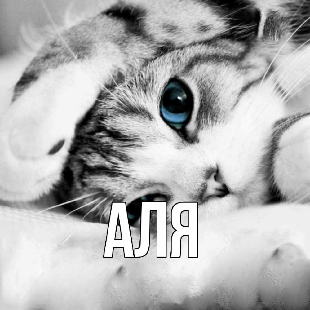 Открытка на каждый день с именем, Аля Главная кот устал Прикольная открытка с пожеланием онлайн скачать бесплатно 