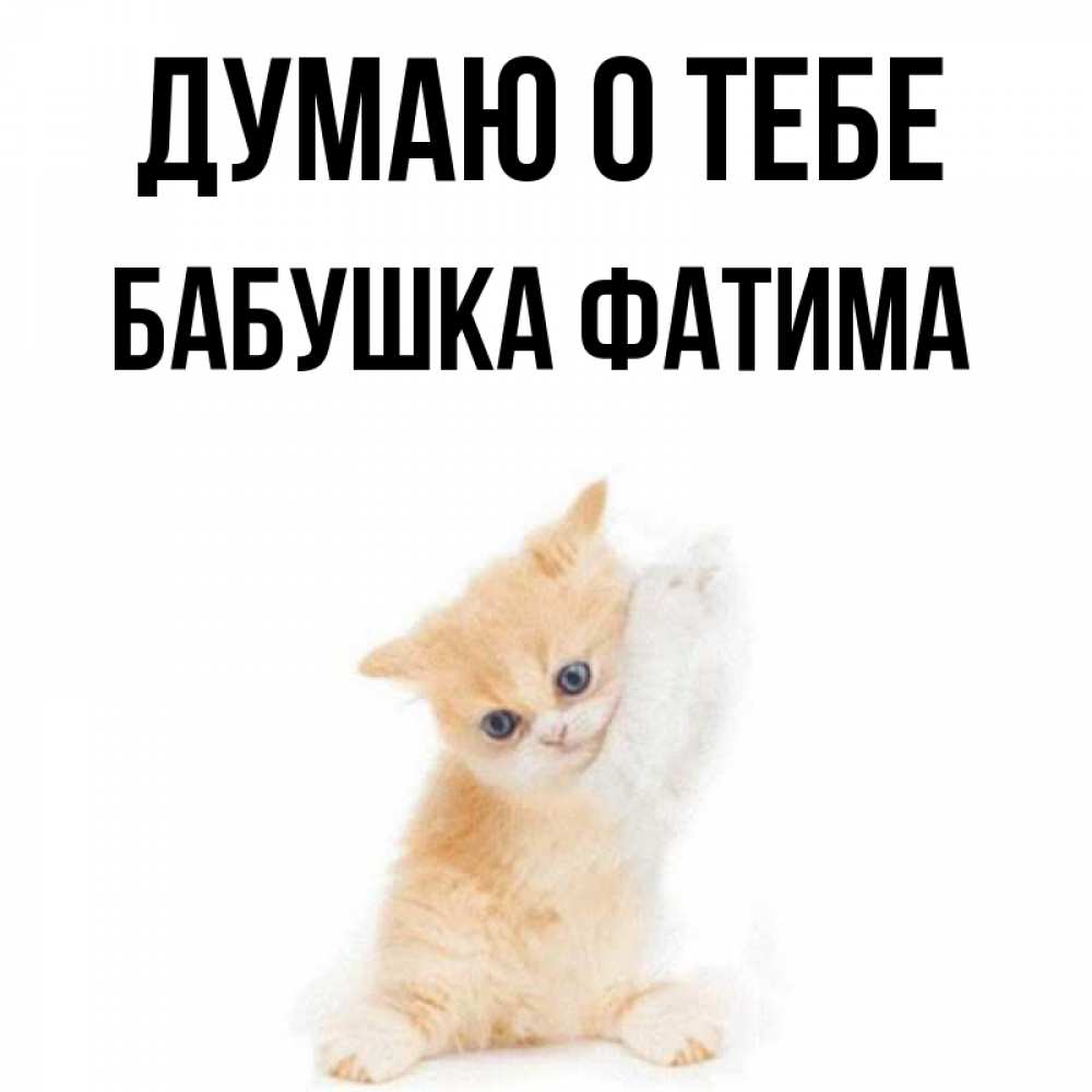 Открытка на каждый день с именем, Бабушка-Фатима Думаю о тебе зверушки и милота Прикольная открытка с пожеланием онлайн скачать бесплатно 