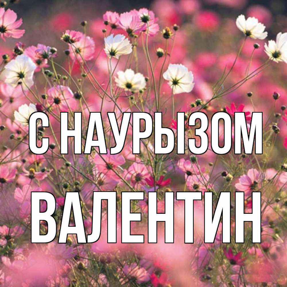 Открытка на каждый день с именем, Валентин С наурызом красиво 1 Прикольная открытка с пожеланием онлайн скачать бесплатно 