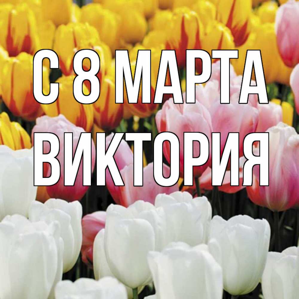 Открытка на каждый день с именем, Виктория С 8 МАРТА разноцветные цветы Прикольная открытка с пожеланием онлайн скачать бесплатно 