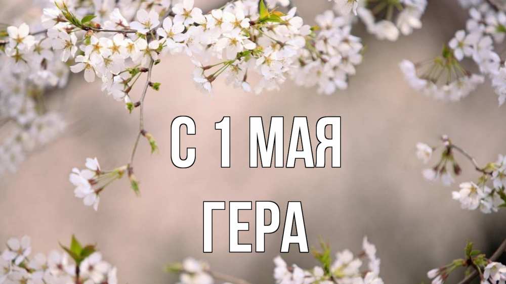 Открытка на каждый день с именем, Гера С 1 мая С 1 мая Прикольная открытка с пожеланием онлайн скачать бесплатно 
