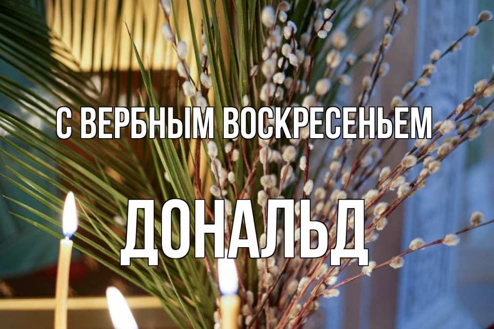 Открытка на каждый день с именем, Дональд С вербным воскресеньем верба Прикольная открытка с пожеланием онлайн скачать бесплатно 