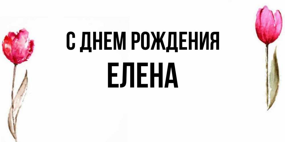 Открытка на каждый день с именем, ЕЛЕНА С днем рождения открытки акварелью с цветами Прикольная открытка с пожеланием онлайн скачать бесплатно 