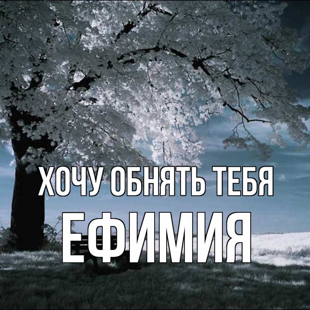 Открытка на каждый день с именем, Ефимия Хочу обнять тебя дерево Прикольная открытка с пожеланием онлайн скачать бесплатно 