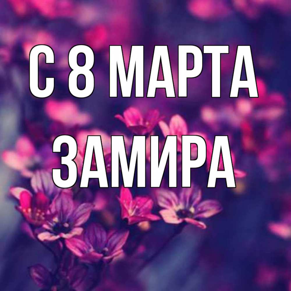 Открытка на каждый день с именем, Замира С 8 марта небольшие цветы 1 Прикольная открытка с пожеланием онлайн скачать бесплатно 