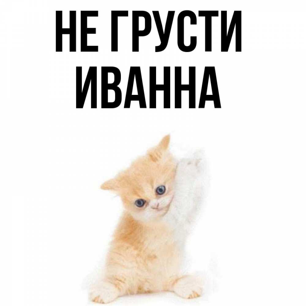 Открытка на каждый день с именем, Иванна Не грусти просящий кот Прикольная открытка с пожеланием онлайн скачать бесплатно 