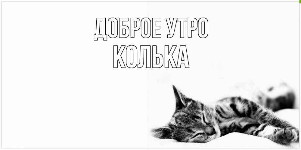 Открытка на каждый день с именем, Колька Доброе утро котуся Прикольная открытка с пожеланием онлайн скачать бесплатно 